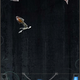 Illustration for article titled Its Raining Dongs, Hallelujah: The Week In Unintentional Dong Submissions